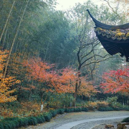 杭州+溧阳4日3晚私家团 杭州+溧阳4日3晚私家团