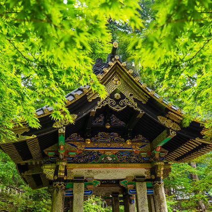 日光东照宫一日游