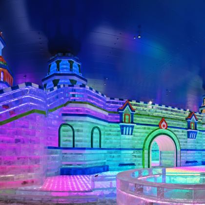冰雪大世界+东北虎林园+太阳岛风景区一日游【司机兼向导】 冰雪大世界+东北虎林园+太阳岛风景区一日游【司机兼向导】
