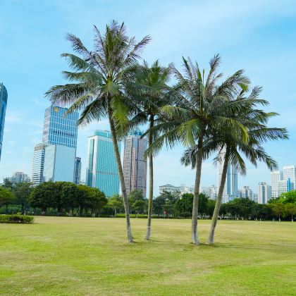 海口4日3晚自由行 海口4日3晚自由行