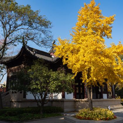 上海+乌镇+苏州3日2晚跟团游 上海+乌镇+苏州3日2晚跟团游