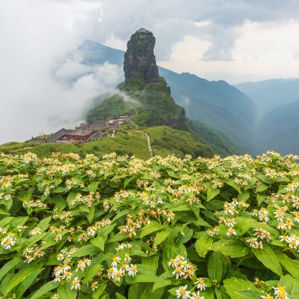 贵州贵阳+黄果树+西江千户苗寨+梵净山+荔波+镇远6日5晚拼小团 贵州贵阳+黄果树+西江千户苗寨+梵净山+荔波+镇远6日5晚拼小团
