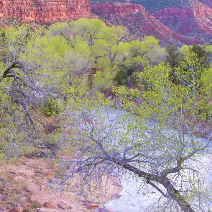 美国旧金山+洛杉矶+拉斯维加斯10日9晚自由行 美国旧金山+洛杉矶+拉斯维加斯10日9晚自由行