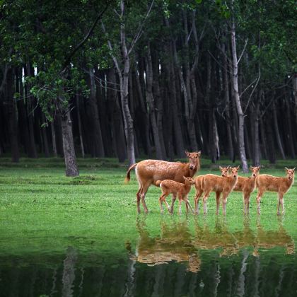 盐城3日2晚私家团 盐城3日2晚私家团