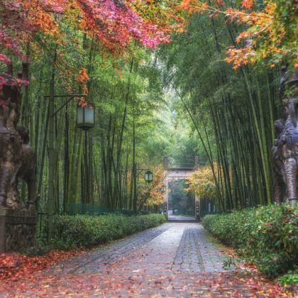 杭州+云栖竹径+西湖风景名胜区+西溪国家湿地公园5日4晚私家团 杭州+云栖竹径+西湖风景名胜区+西溪国家湿地公园5日4晚私家团