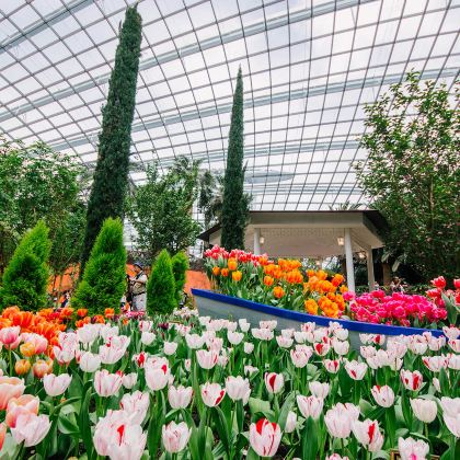 新加坡7日6晚拼小团 新加坡7日6晚拼小团