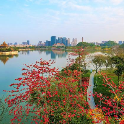 顺德区+顺峰山公园+广东千古情+佛山岭南新天地+陈铁军故居+中央电视台南海影视城+逢简水乡+清晖园博物馆5日4晚跟团游 顺德区+顺峰山公园+广东千古情+佛山岭南新天地+陈铁军故居+中央电视台南海影视城+逢简水乡+清晖园博物馆5日4晚跟团游