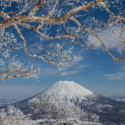 日本北海道洞爷湖+昭和新山熊牧场一日游