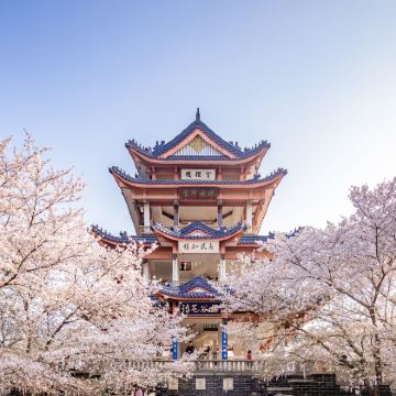 无锡+清名桥古运河景区3日2晚私家团 无锡+清名桥古运河景区3日2晚私家团