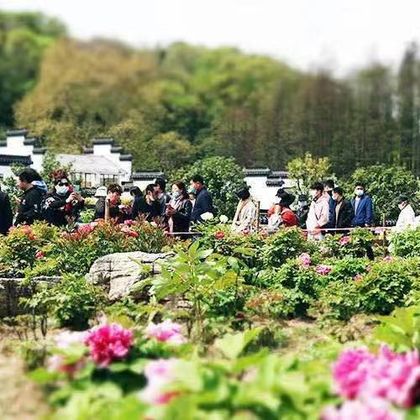 马鞍山+采石矶+大青山野生动物世界一日游 马鞍山+采石矶+大青山野生动物世界一日游