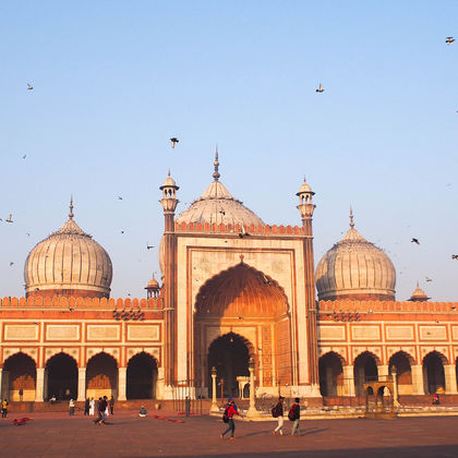 印度+德里+月光集市+贾玛清真寺+胡马雍陵+德里红堡一日游