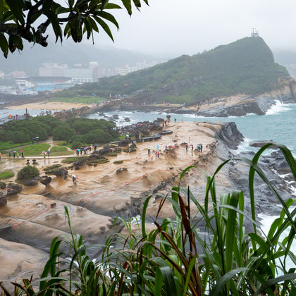 台北101大楼+野柳地质公园+野柳海洋世界+热气流飞行伞俱乐部+九份老街一日游 台北101大楼+野柳地质公园+野柳海洋世界+热气流飞行伞俱乐部+九份老街一日游