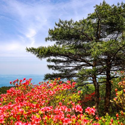 咸宁九宫山+隐水洞+陆水湖风景区5日4晚私家团 咸宁九宫山+隐水洞+陆水湖风景区5日4晚私家团