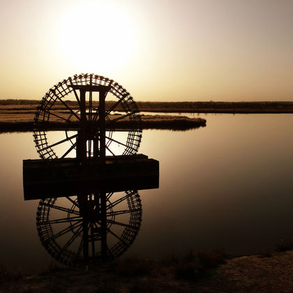 中国宁夏银川黄沙古渡原生态旅游区一日游 中国宁夏银川黄沙古渡原生态旅游区一日游