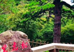 travel picture