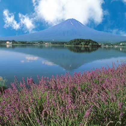 日本富士山+箱根神社一日游