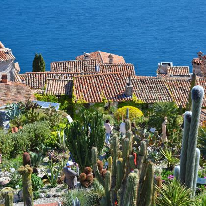 法国尼斯+阿维尼翁8日私家团 法国尼斯+阿维尼翁8日私家团