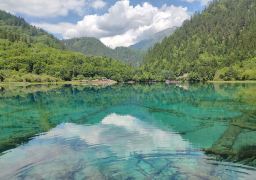 travel picture