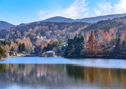 travel picture