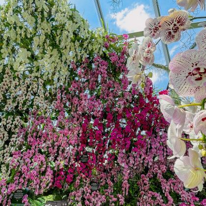 新加坡9日8晚拼小团 新加坡9日8晚拼小团