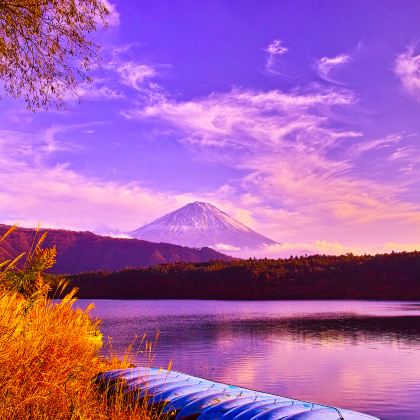 日本东京+箱根+京都+大阪6日5晚跟团游 日本东京+箱根+京都+大阪6日5晚跟团游