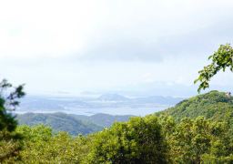 travel picture