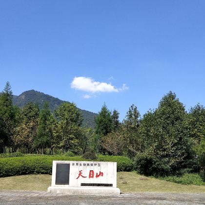 天目山景区+灵峰山景区+中南百草原3日2晚私家团 天目山景区+灵峰山景区+中南百草原3日2晚私家团