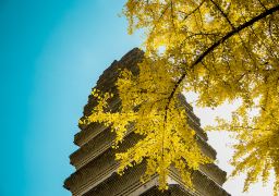 travel picture