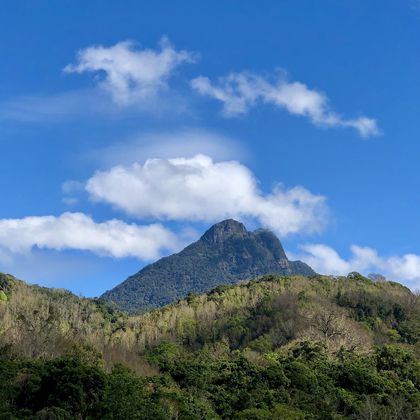 五指山海南热带雨林国家公园+原始黎族的母亲河一日游