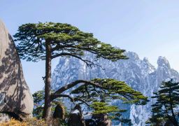 travel picture