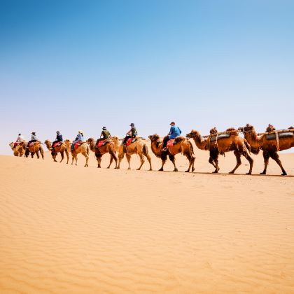 宁夏银川+中卫+崆峒山+麦积山石窟+陇南+官鹅沟大景区+扎尕那+黄河九曲第一湾+兰州+刘家峡+炳灵寺石窟12日11晚私家团 宁夏银川+中卫+崆峒山+麦积山石窟+陇南+官鹅沟大景区+扎尕那+黄河九曲第一湾+兰州+刘家峡+炳灵寺石窟12日11晚私家团