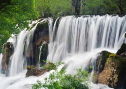 travel picture