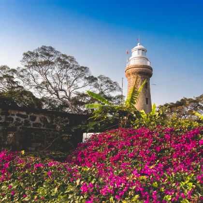 湛江+徐闻+硇洲岛6日5晚拼小团 湛江+徐闻+硇洲岛6日5晚拼小团