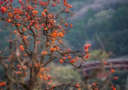 travel picture
