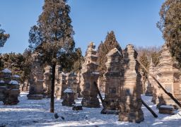 travel picture