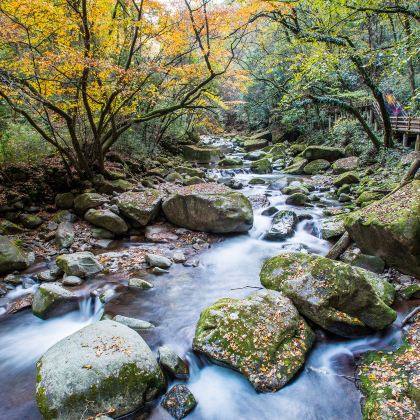 四川广元+光雾山+米仓山国家森林公园+阆中古城5日4晚私家团 四川广元+光雾山+米仓山国家森林公园+阆中古城5日4晚私家团