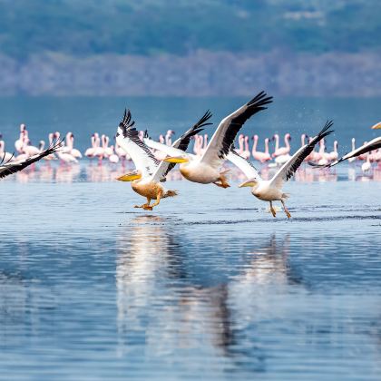 肯尼亚内罗毕+桑布鲁+地狱之门国家公园+马赛马拉国家保护区11日10晚自由行 肯尼亚内罗毕+桑布鲁+地狱之门国家公园+马赛马拉国家保护区11日10晚自由行