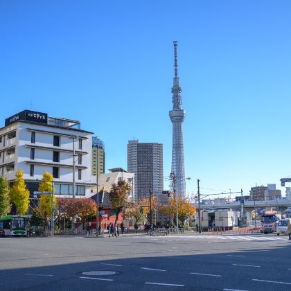 日本东京+冲绳+东京迪士尼乐园+冲绳美丽海水族馆9日8晚私家团 日本东京+冲绳+东京迪士尼乐园+冲绳美丽海水族馆9日8晚私家团