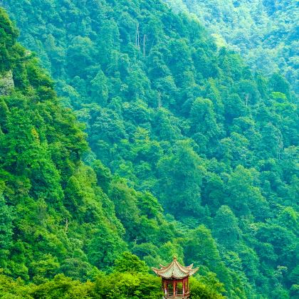 江西南昌+龙虎山+庐山+三清山+鄱阳湖+景德镇+婺源+井冈山9日8晚跟团游 江西南昌+龙虎山+庐山+三清山+鄱阳湖+景德镇+婺源+井冈山9日8晚跟团游