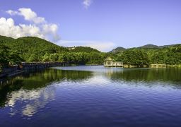travel picture