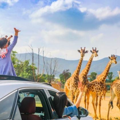 湖州+太湖龙之梦乐园+龙之梦国际大马戏2日1晚自由行 湖州+太湖龙之梦乐园+龙之梦国际大马戏2日1晚自由行