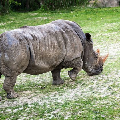 美国奥兰多3日2晚拼小团 美国奥兰多3日2晚拼小团