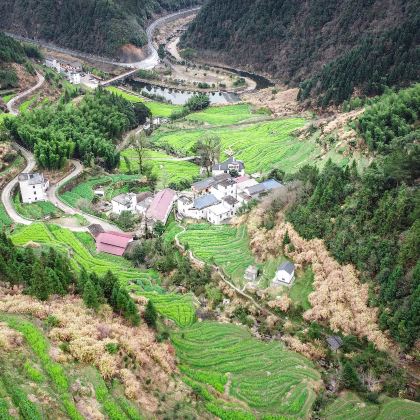 浙江衢州+开化+江山+龙游+江西婺源6日5晚私家团 浙江衢州+开化+江山+龙游+江西婺源6日5晚私家团