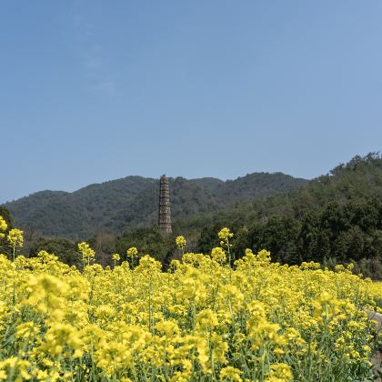 神仙居+国清景区+天台山大瀑布4日3晚私家团 神仙居+国清景区+天台山大瀑布4日3晚私家团