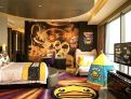 room overview picture