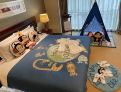 room overview picture