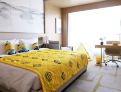 room overview picture