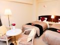 room overview picture