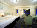 room overview picture