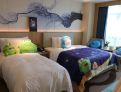 room overview picture